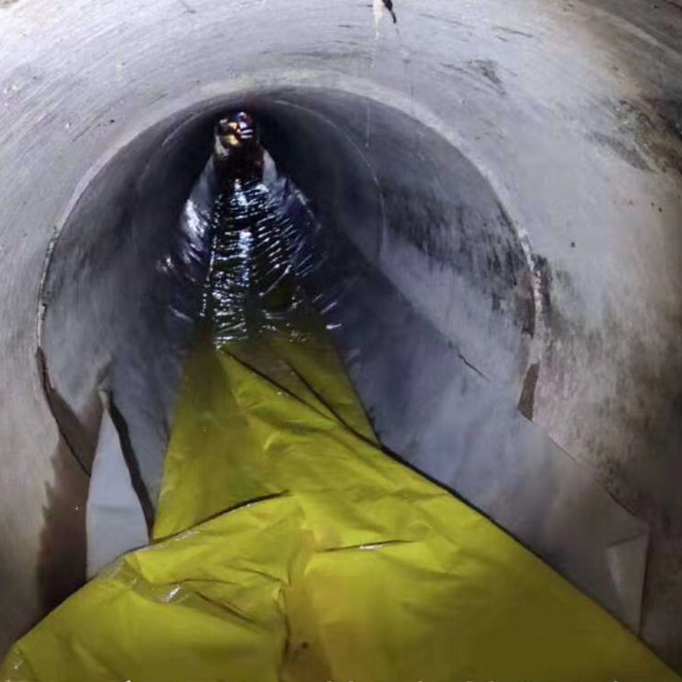 定南管道光固化修复